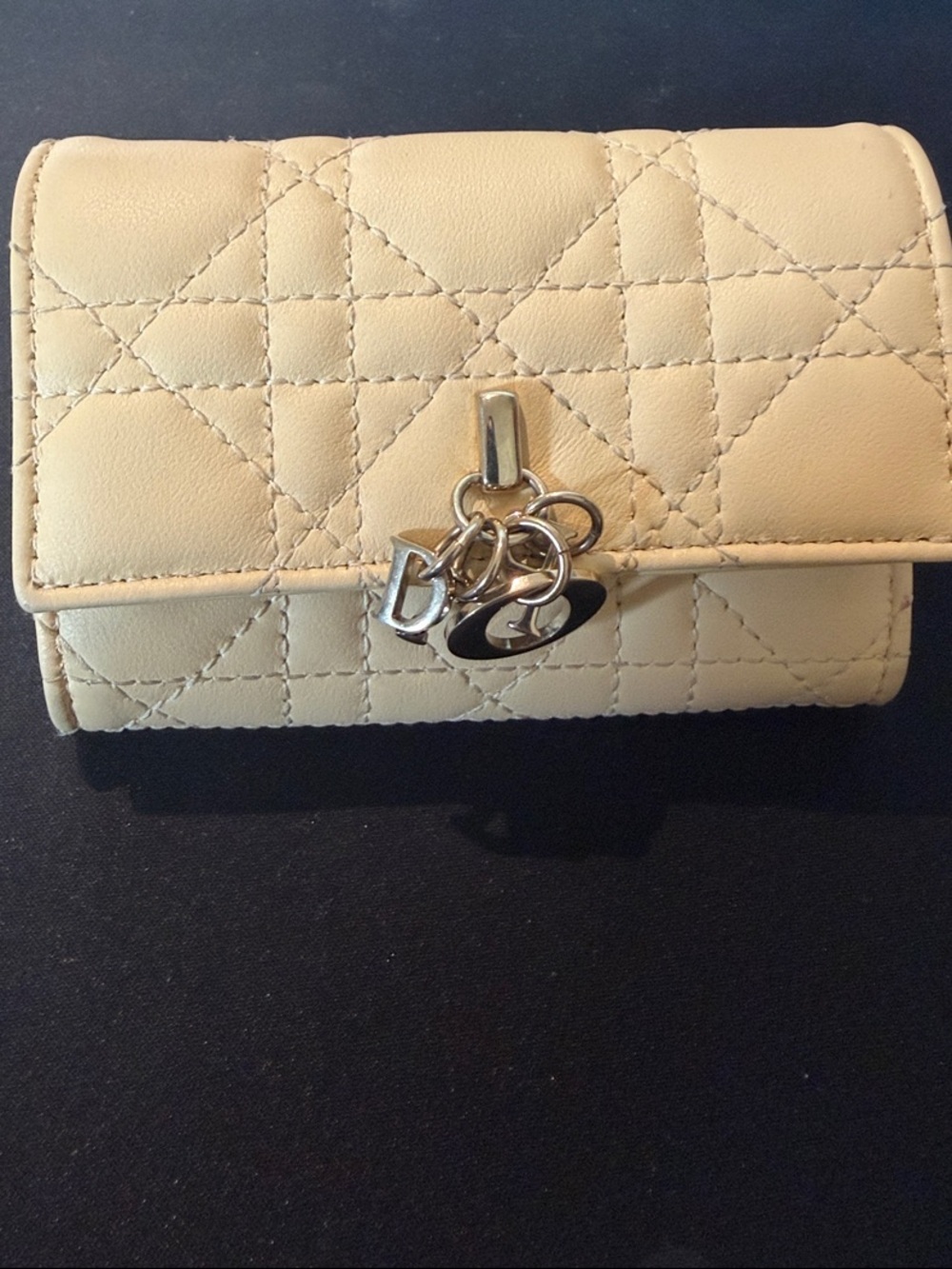 Dior Glycine lambskin wallet